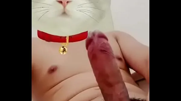 أحدث The lewd cat أفلام جديدة