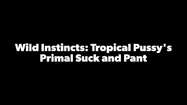 Friske Tropicalpussy - update - Wild Instincts: Tropical Pussy's Primal Suck and Pant - Dec 26, 2023 nye filmer